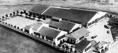 1955